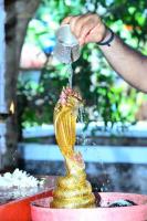 Brahmakalashanga Rathotsava at Shrimath Anantheshwar Temple Vittal (5 May 2025)